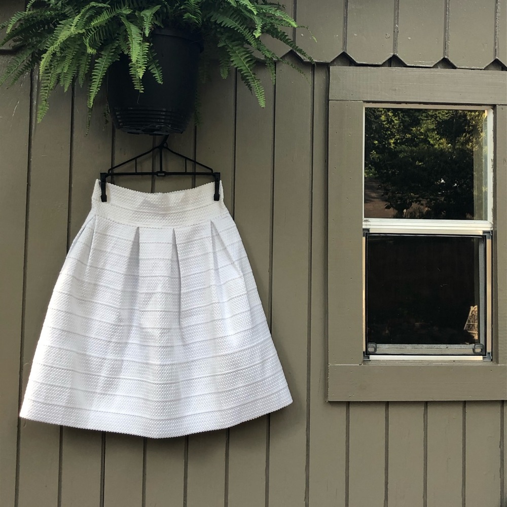 New York & Company High Waisted Skirt